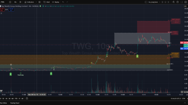 2025-12-08_15-16-53 TWG zoomedout bare